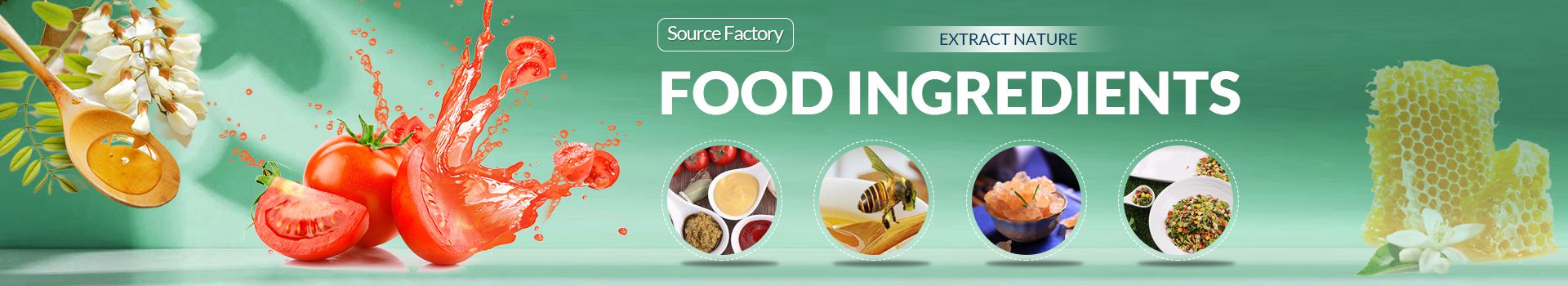 Food Ingredients