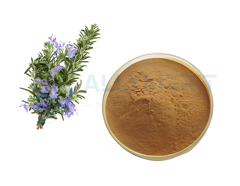 Rosemary Extract