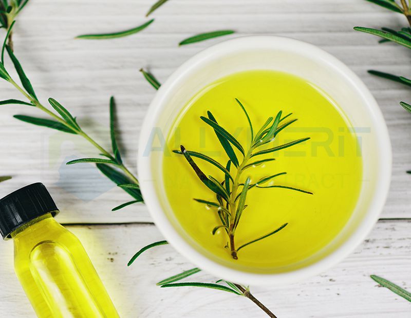 Rosemary Extract