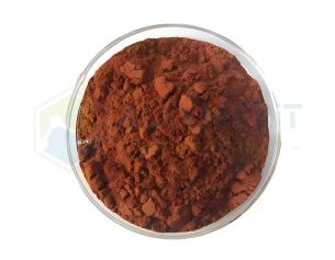 Grape Seed Extract (GSE)