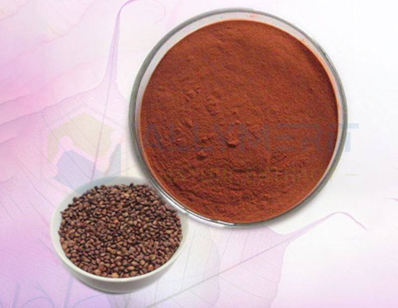 Grape Seed Extract (GSE)