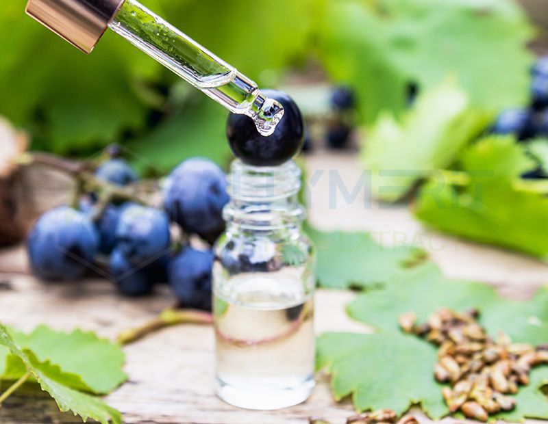 Grape Seed Extract (GSE)