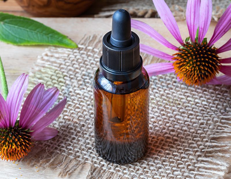 Echinacea Extract