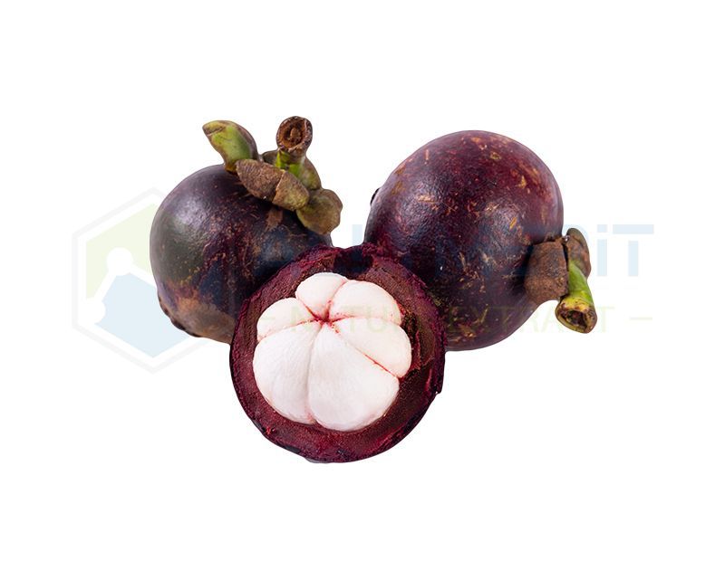 Mangosteen Extract