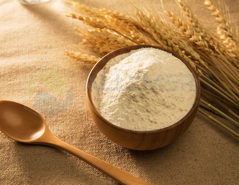 Vital Wheat Gluten Powder