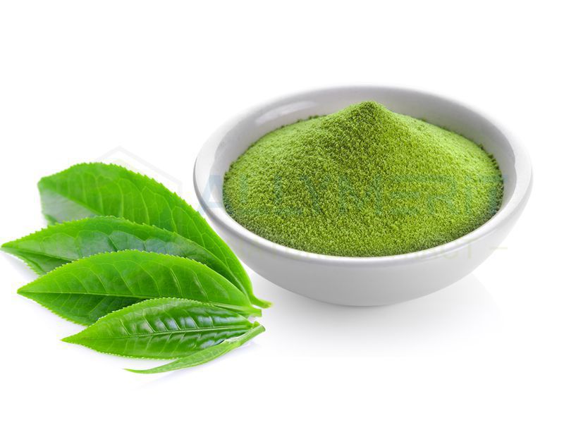 Green Tea Extract