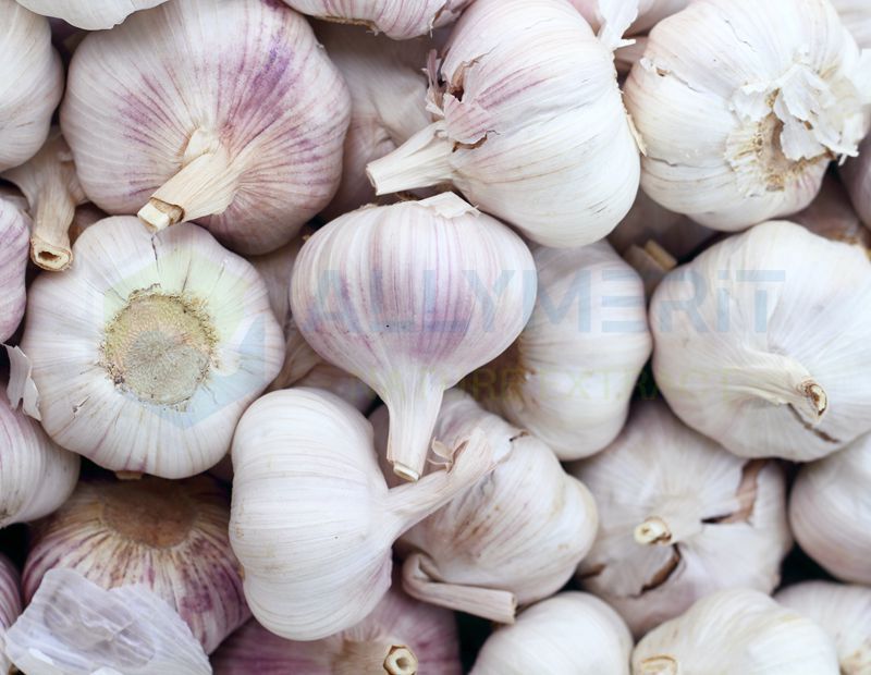 Dehydrated Garlic (Dried Garlic Granules/Flakes/Powder)