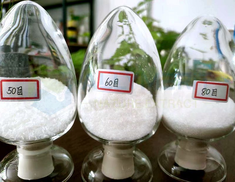 Monosodium Glutamate (MSG)