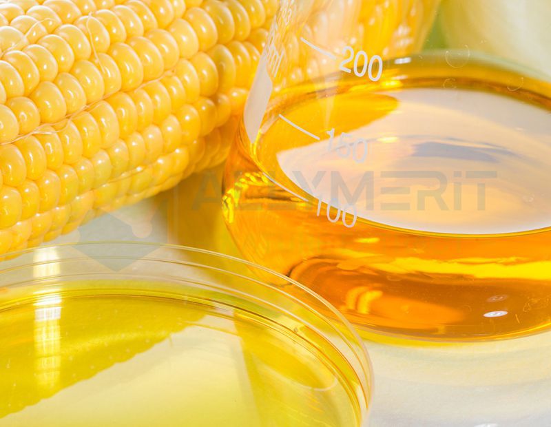 Fructose Syrup (Corn Syrup)