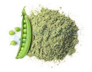 Pea Protein Powder