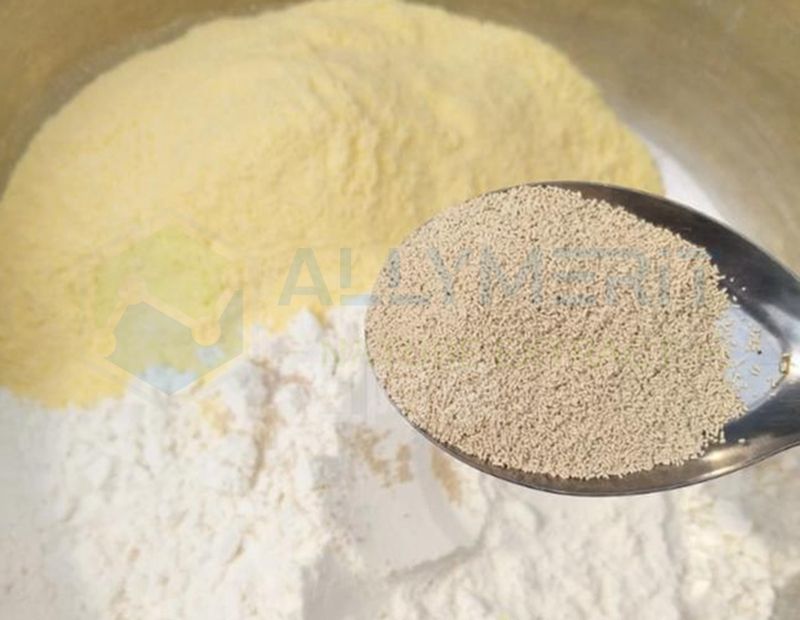 Yeast Powder