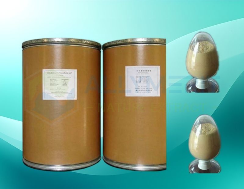 Lecithin (Phosphatidylcholine)