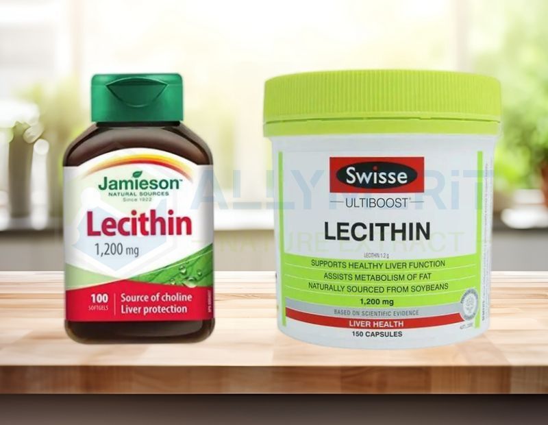 Lecithin (Phosphatidylcholine)